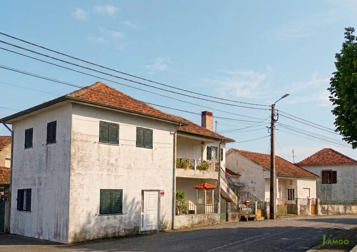 Lote 2