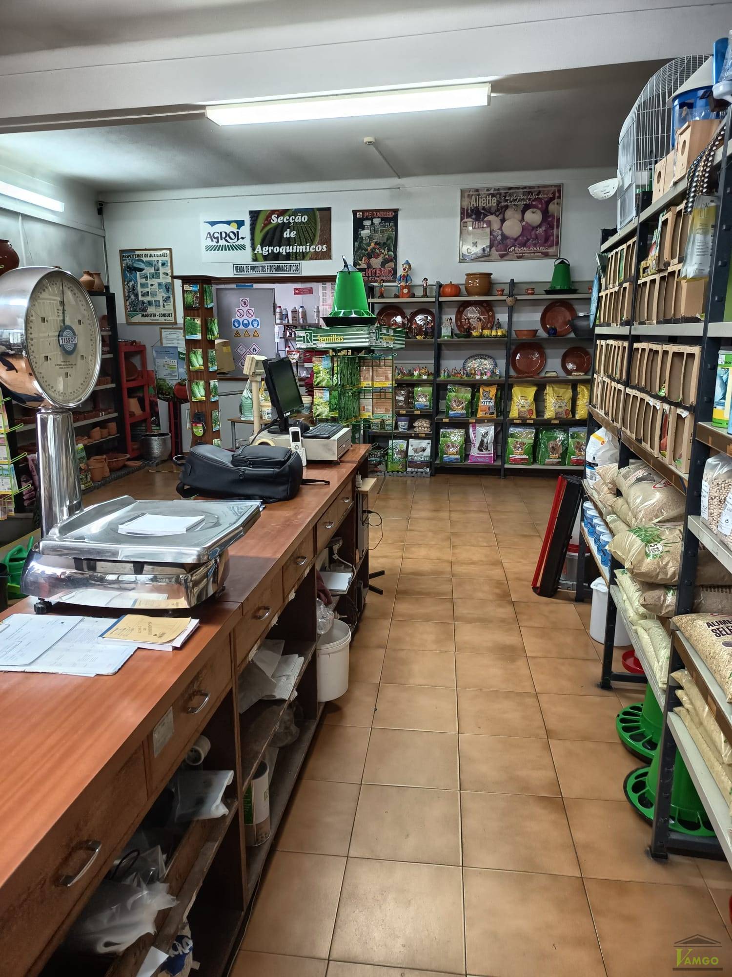 Lote 4