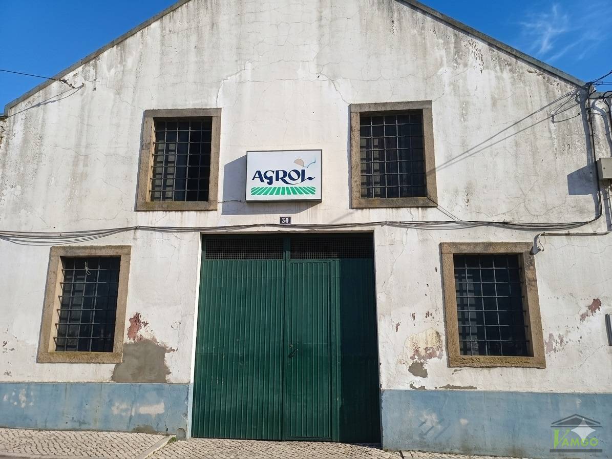 Lote 3 Lote 3