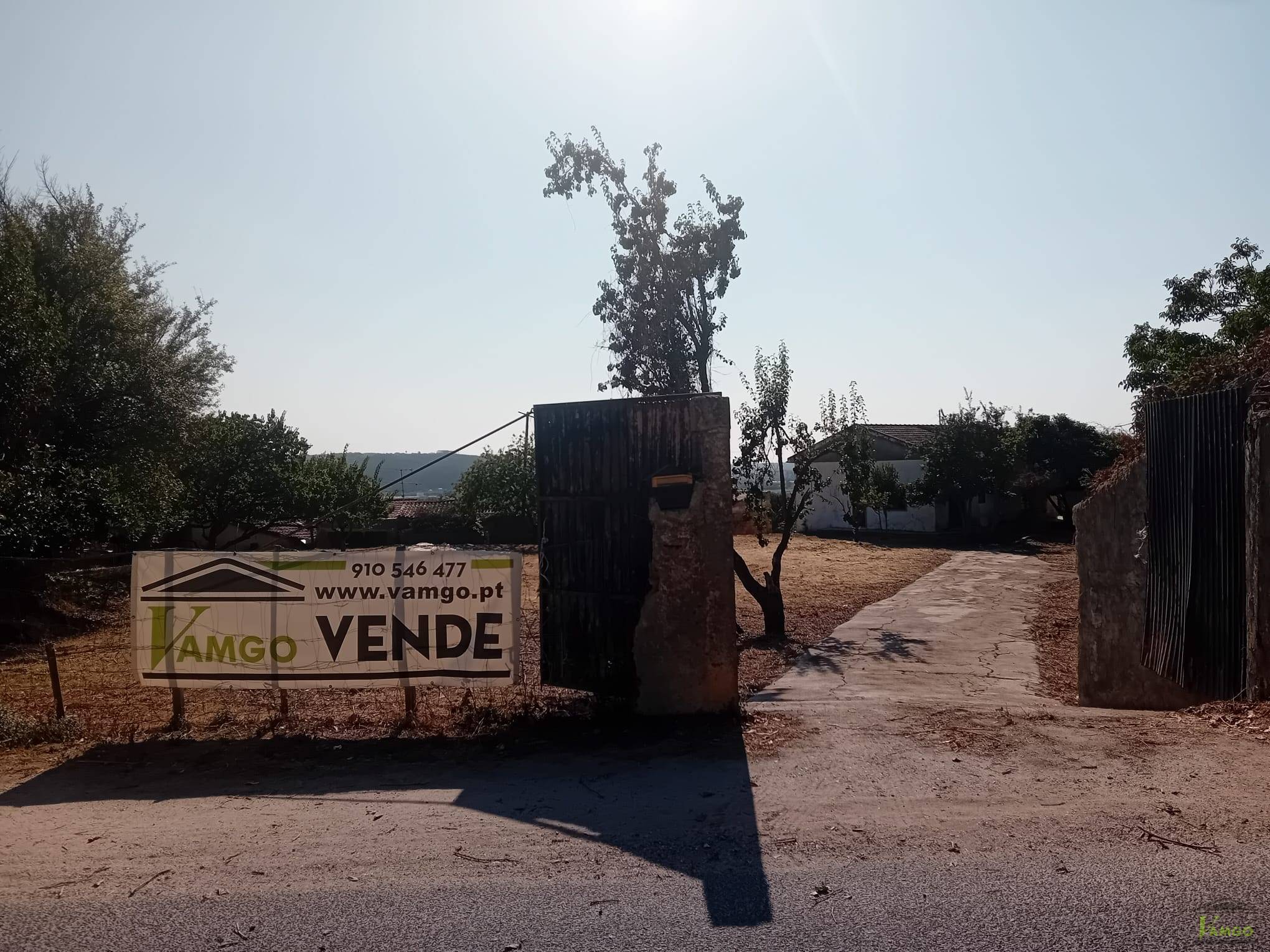 Lote 4